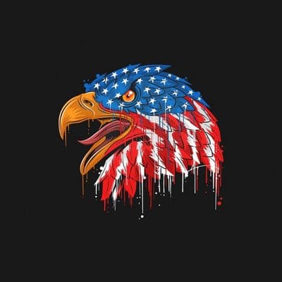 Land of the Free, Outlaw