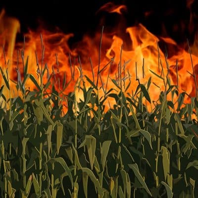 Cornfield on Fire (feat. Krizz Kaliko), Demun Jones & Burn County