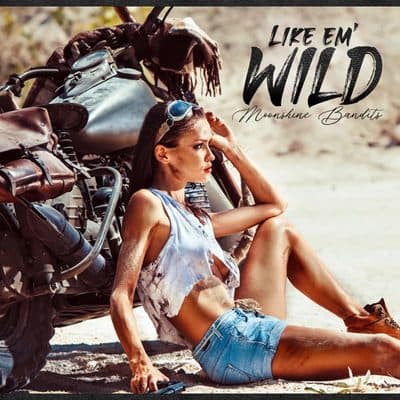 Like 'Em Wild, Moonshine Bandits